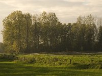 NL, Noord-Brabant, Waalwijk, De Dullaard 14, Saxifraga-Jan van der Straaten