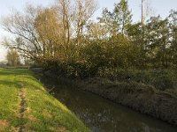 NL, Noord-Brabant, Waalwijk, De Dullaard 15, Saxifraga-Jan van der Straaten