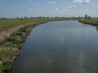 NL, Noord-Brabant, Waalwijk, Oude Maasje 2, Saxifraga-Marijke Verhagen