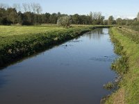 NL, Noord-Brabant, Waalwjk, Den Dulver 2, Saxifraga-Jan van der Straaten