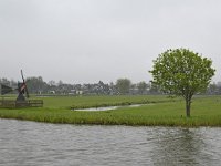 NL, Noord-Holland, Wormerland, Wormer- en Jisperveld 1, Saxifraga-Tom Heijnen