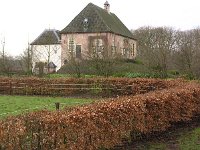 NL, Overijssel, Steenwijkerland, De Eese 2, Saxifraga-Hans Dekker