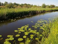 NL, Utrecht, Maarssen, Tienhoven 4, Foto Fitis-Sytske Dijksen