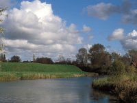 NL, Zeeland, Veere 6, Saxifraga-Jan van der Straaten