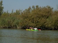 NL, Zuid-Holland, Dordrecht, Helsloot 19, Saxifraga-Marijke Verhagen