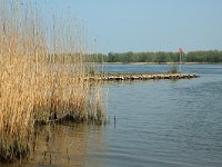 NL, Zuid-Holland, Dordrecht, Nieuwe Merwede 2, Saxifraga-Jan van der Straaten