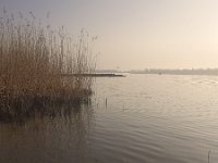 Dutch river Nieuwe Merwede in Biesbosch National Park, early mor  Dutch river Nieuwe Merwede in Biesbosch National Park, early morning : Biesbosch National Park, Dutch, Europe, European, groin, groyne, Holland, marsh, nature reserve, Netherlands, Nieuwe Merwede, no people, nobody, NP, outdoors, outside, reed, river, rural landscape, spring, springtime, stream, water, dawn, morning, serenity, sunrise