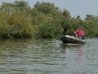 NL, Zuid-Holland, Dordrecht, Zoetemelkskil 3, Saxifraga-Jan van der Straaten