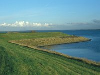 NL, Zuid-Holland, Goeree-Overflakkee, Preekhilpolder 7, Saxifraga-Jan van der Straaten