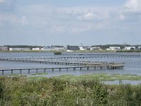 NL, Zuid-Holland, Hendrik-Ido-Ambacht, Sophiapolder 9, Saxifraga-Willem van Kruijsbergen