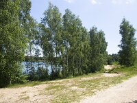 Typical landscape around Lake Reinders in Dutch National Park De Maasduinen; Bergen, Limburg, Netherlands  Typical landscape around Lake Reinders in Dutch National Park De Maasduinen; Bergen, Limburg, Netherlands : National park De Maasduinen, national park, np, Maasduinen, Bergen, Limburg, Netherlands, Dutch, Europe, european, landscape, rural landscape, rural scene, non-urban scene, non-urban landscape, rural, nature reserve, protected area, Natura 2000, nature, natural, spring, springtime, nobody, no people, summer, summertime, lake reinders, reindersmeer, lake, water, tree, trees, cloudy cloudy sky, sky, woodland, forest, sandy, skyscape, sand