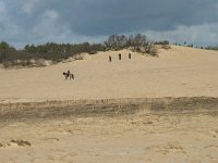 NL, Noord-Brabant, Heusden, Loonse en Drunense Duinen 103, Saxifraga-Willem van Kruijsbergen