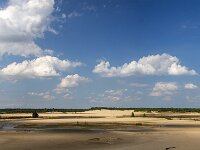 Drifting sand with exceptional pools due to heavy rain, Loonse en Drunense Duinen National Park, North Brabant, Netherlands  Drifting sand with exceptional pools due to heavy rain, Loonse en Drunense Duinen National Park, North Brabant, Netherlands : sand drift, drifting sand, sand, sandy, loonse en drunense duinen, national park, np, rural, landscape, rural landscape, rural scene, non-urban landscape, non-urban scene, outside, outdoor, outdoors, no people, nobody, season, summer, summertime, spring, springtime, tree, trees, woodland, forest, nature, natural, nature protection, north brabant, dutch, netherlands, europe, european, pool, pools, water, heavy rain