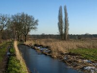 NL, Noord-Brabant, Tilburg, Hoevense Steeg 6, Saxifraga-Jan van der Straaten