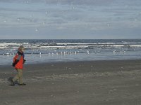 NL, Friesland, Terschelling, Boschplaat 21, Saxifraga-Jan van der Straaten