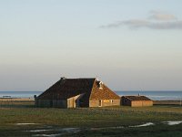 NL, Friesland, Terschelling, Wierschuur 16, Saxifraga-Jan van der Straaten