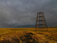 NL, Groningen, Eemsmond, Rottumeroog 16, Saxifraga-Mark Zekhuis