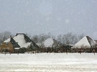 NL, Noord-Holland, Texel 4, Foto Fitis-Sytske Dijksen