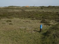 NL, Noord-Holland, Texel, Bollekamer 12, Saxifraga-Jan van der Straaten