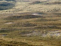 NL, Noord-Holland, Texel, Bollekamer 7, Foto Fitis-Sytske Dijksen