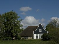 NL, Noord-Holland, Texel, De Hooge Berg 12, Saxifraga-Jan van der Straaten