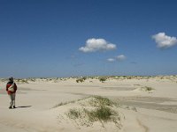 NL, Noord-Holland, Texel, De Hors 6, Saxifraga-Jan van der Straaten