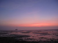 NL, Noord-Holland, Texel, De Volharding 1, Saxifraga-Bart Vastenhouw