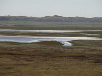 NL, Noord-Holland, Texel, Slufter 6, Foto Fitis-Sytske Dijksen