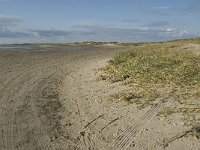 NL, Friesland, Terschelling, Noordsvaarder 22, Saxifraga-Jan van der Straaten