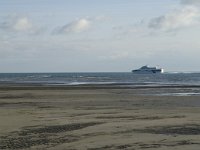 NL, Friesland, Terschelling, Noordsvaarder 29, Saxifraga-Marijke Verhagen