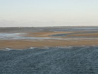 NL, Friesland, Terschelling, Terschellinger wad 7, Saxifraga-Hans Boll