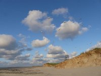 NL, Groningen, Eemsmond, Rottummeroog 10, Saxifraga-Mark Zekhuis