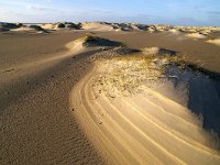 NL, Noord-Holland, Texel, De Hors 1, Foto Fitis-Sytske Dijksen