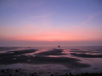 NL, Noord-Holland, Texel, De Volharding 2, Saxifraga-Bart Vastenhouw