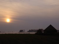 NL, Noord-Holland, Texel, Eilandspolder 1, Saxifraga-Piet Munsterman