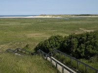 NL, Noord-Holland, Texel, Slufter 24, Saxifraga-Jan van der Straaten