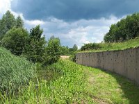 NL, Noord-Brabant, Oirschot, Beerze in Kattenbergs Broek 2, Saxifraga-Tom Heijnen