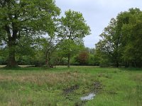 NL, Drenthe, Aa en Hunze, De Heest 14, Saxifraga-Hans Boll