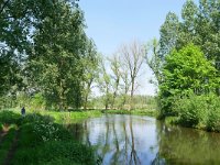 NL, Noord-Brabant, Eindhoven, Dommel valley between Sterrenlaan and Hooidonk 4, Saxifraga-Tom Heijnen