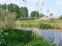 NL, Noord-Brabant, Eindhoven, Dommel valley between Sterrenlaan and Hooidonk 8, Saxifraga-Tom Heijnen