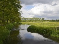 NL, Noord-Brabant, Sint-Michielsgestel, Dommel in Landgoed Zegenwerp 5, Saxifraga-Tom Heijnen