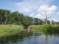 NL, Noord-Brabant, Valkenswaard, Dommel in De Malpie 9, Saxifraga-Tom Heijnen