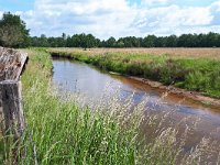 NL, Noord-Brabant, Valkenswaard, Dommel near Horsten 1, Saxifraga-Tom Heijnen