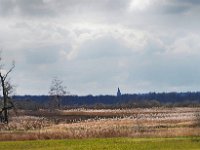 NL, Drenthe, Aa en Hunze, Gasterensche Diep 3, Saxifraga-Hans Dekker