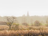 NL, Drenthe, Aa en Hunze, Gasterensche Diep 4, Saxifraga-Hans Dekker