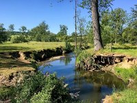 NL, Limburg, Epen, Geuldal 4, Saxifraga-Bart Vastenhouw