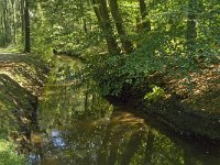 NL, Noord-Brabant, Oirschot, Kleine Beerze 11, Saxifraga-Jan van der Straaten