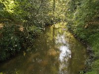 NL, Noord-Brabant, Oirschot, Kleine Beerze 14, Saxifraga-Jan van der Straaten