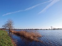 NL, Drenthe, Meppel, Reest 2, Saxifraga-Hans Dekker