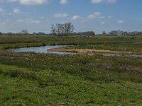 NL, Noord-Brabant, Oisterwijk, Gementsdijk 6, Reusel, Saxifraga-Jan van der Straaten